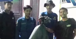 Aksi evakuasi petugas Damkar Depok dalam mengamankan sarang tawon yang meresahkan rumah warga di Jatijajar, Kecamatan Tapos, Kota Depok, pada Minggu malam, 13 April 2025. (Sumber: Instagram/damkardepok)