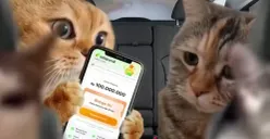 Tampilan aplikasi AdaPundi yang menjanjikan limit pinjaman hingga Rp100 juta. (Sumber: Instagram/@adapundi_official_id)