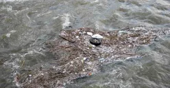 Ilustrasi sampah di sungai. (Sumber: PxHere)