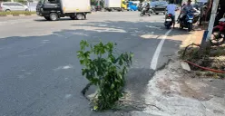 Kondisi jalan berlubang di Jalan Duri Raya, Duri Kepa, Kebon Jeruk, Jakarta Barat, dikeluhkan warga. (Sumber: POSKOTA | Foto: Pandi Ramedhan)