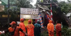 Petugas BPBD Jakarta saat melakukan proses evakuasi pohon tumbang yang menimpa sebuah kios pedagang pada Rabu, 20 Agustus 2025. BPBD Jakarta (Sumber: BPBD Jakarta)