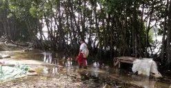 Seorang siswa SD melintas di tengah genangan air akibat rob di Kampung Sembilangan, Desa Samudra Jaya, Kecamatan Tarumajaya, Kabupaten Bekasi. (Sumber: Istimewa)
