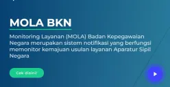 Cara cek NIP CPNS dan NI PPPK dengan Mola BKN (Sumber: bkn.go.id)
