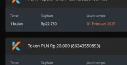 Perhatikan struk pembelian token listrik untuk memastikan apakah Anda mendapatkan subsidi. Bijak memahami informasi adalah kunci. (Sumber: Facebook/Ayu)