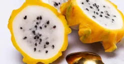 Beberapa manfaat buah naga kuning (Sumber: Freepik)