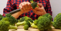 Beberapa jenis makanan yang meningkatkan kekebalan tubuh (Sumber: Freepik)