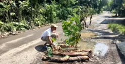 Sejumlah warga di Kampung Sabagi, Desa Pasir Tanjung, Kecamatan Rangkasbitung, Kabupaten Lebak, saat melakukan aksi tanam pohon singkong. (Sumber: Dok Warga)