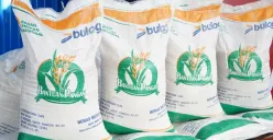 Program bantuan pangan beras 20 kg dari pemerintah, cek wilayah yang sudah mendapat penyaluran. (Sumber: badanpangan.go.id)