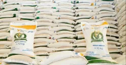 Bantuan pangan beras 20 kg, begini cara mengambilnya. (Sumber: badanpangan.go.id)