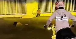 Bongkar video asusila di stadion pakansari ternyata settingan (Sumber: tangkapan layar)