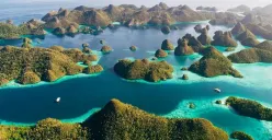 Dampak kerusakan lingkungan lebih besar dari keuntungan ekonomi! Pemerintah cabut 4 izin tambang nikel di Raja Ampat. PT Gag Nikel masih boleh beroperasi. (Sumber: Pinterest)