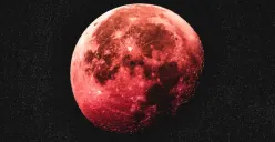 Fenomena Strawberry Moon memiliki energi tersembunyi yang berdampak pada Manusia (Sumber: Pinterest/Wicked Obscura)
