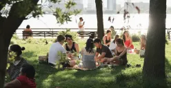 18 Juni Memperingati Hari Apa? Ada Hari Piknik Internasional (Sumber: Unsplash/Mason Dahl)