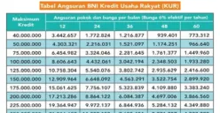 Dengan suku bunga rendah, tenor fleksibel, serta proses pengajuan yang relatif mudah, KUR BNI 2025 menawarkan kemudahan bagi masyarakat dalam memperoleh pinjaman hingga Rp50 juta. (Sumber: Poskota/Dadan Triatna)