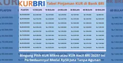 KUR BRI 2025: Modal usaha mudah, suku bunga rendah, dan proses cepat untuk UMKM. Yuk, kembangkan bisnis Anda sekarang! (Sumber: Poskota/Yusuf Sidiq)