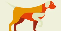 Ramalan Shio Anjing tanggal 5 April 2025. (Sumber: chinesenewyear)