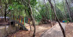 Masukkan Hutan Mangrove Kota Tegal sebagai destinasi wisata pilihan saat libur Lebaran 2025 nanti. (Sumber: Instagram/@Infotegal)