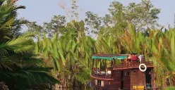 Ilustrasi Wisata Taman Nasional Tanjung Puting (Sumber: visit.kotawaringinbarat.id)
