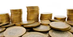 Begini cara bertahan hidup dengan Rp50.000 sehari. (Sumber: Pixabay/Vicafree)