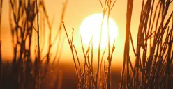 Hari Surya Sedunia Diperingati 3 Mei, Ini Sejarah dan Cara Merayakannya (Sumber: Unsplash/Jeremy Bishop)
