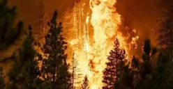Kronologi dan dampak kebakaran hutan besar yang terjadi di sekitar jalan utama Yerusalem-Tel Aviv, Israel, pada akhir April 2025. (Sumber: Pinterest)