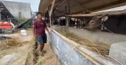 Endang Saputra, 49 tahun, penjual hewan kurban di Desa Cilangkap, Kecamatan Kalanganyar, Lebak saat menunjukan sejumlah hewan kurban di lapaknya, Kamis, 15 Mei 2025. (Sumber: Dok. Pribadi)