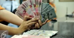 Pinjaman Instan Rp755 Ribu di DANA Paylater: Cukup 1 Menit, Dana Langsung Cair! (Sumber: Pinterest)