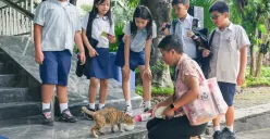 Anggota Komisi B DPRD Jakarta dari Fraksi PSI, Francine Widjojo, menolak rencana Pemprov Jakarta membuat Pulau Kucing di Kepulauan Seribu. Ia pun mendesak pemerintah daerah membatalkan wacana tersebut. (Sumber: Dok. Pribadi)
