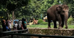 Ilustrasi - pelajar dapat menggunakan uang KJP Plus untuk berwisata, salah satunya ke Ragunan. (Sumber: Poskota/Bilal Nugraha Ginanjar)