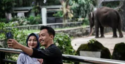 Pengunjung menyaksikan gajah saat berlibur ke Taman Margasatwa Ragunan, Jakarta Selatan. (Sumber: Poskota/Bilal Nugraha Ginanjar)