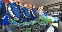 Barang bukti peredaran narkoba jenis ganja yang diolah menjadi kue dan cokelat yang berhasil diungkap Polres Cimahi. (Sumber: POSKOTA | Foto: Gatot Poedji Utomo)