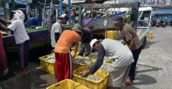 Aktivitas nelayan di Dermaga T Pelabuhan Muara Angke, Penjaringan, Jakarta Utara, Sabtu, 22 November 2025. (Sumber: POSKOTA | Foto: Pandi Ramedhan)