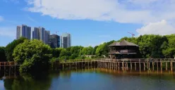 Hutan Mangrove PIK, destinasi ekowisata yang menjaga keseimbangan ekosistem pesisir Jakarta. (Sumber: Pinterest/@Selika)
