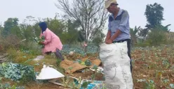 Suasana di lahan pertanian warga Cisarua, Kabupaten Bandung Barat. (Sumber: Poskota/Gatot Poedji Utomo)