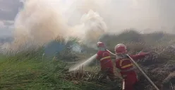 Asap kebakaran hutan Kalimantan mulai meluas hingga Malaysia dan Singapura. (Sumber: Dok. Kemenhut)
