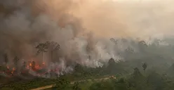 Ilustrasi - Sejumlah sekolah di Kalimantan menerapkan PJJ dan penyesuaian pembelajaran terkait kebakaran hutan dan lahan (karhutla) (Sumber: chatgpt)