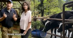 Dago Dairy mengumumkan penghentian operasional peternakan sapi setelah hampir dua tahun menghadapi kendala kekurangan tenaga kerja. (Sumber: Instagram/@dago_dairy)
