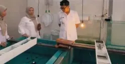 Wakil Walikota Cimahi, Adhitia Yudhistira, kunjungi Balai Benih Ikan (BBI) di Kelurahan Cibabat, Kecamatan Cimahi Utara, Senin 16 Februari 2026. (Sumber: Poskota/Gatot Poedji Utomo)