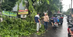Angin kencang membuat pohon tumbang di Jalan Raya Kebon Jeruk, tepatnya di dekat SMP Negeri 127, Kebon Jeruk, Jakarta Barat, Sabtu, 28 Februari 2026. (Sumber: Poskota/Pandi Ramedhan)