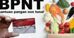 BPNT 2026 Resmi Disalurkan Pemerintah, Ini Jadwal, Nominal, dan Cara Cek Penerima (Sumber: Pinterest)