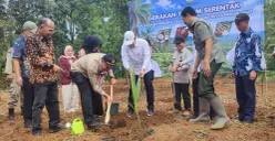Dirjen Perkebunan melakukan penanaman bibit kelapa di Kecamatan Pulosari, Kabupaten Pandeglang, Kamis 2 Juli 2026. (Sumber: Poskota/Samsul Fatoni)