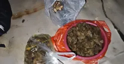 Daging Tapir yang sudah diolah, diamankan sebagai barang bukti dalam pengungkapan kasus pembunuhan satwa dilindungi di Register 45, Mesuji, Lampung. (Sumber: Polres Mesuji)