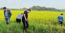 Polisi saat melakukan pencarian barang bukti di sekitar TKP. (Sumber: Poskota/Veronica)