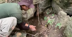 Salah satu lokasi mata air Cisaladah di pegunungan Guha Leuweung Hideung, Kecamatan Cipatat, Kabupaten Bandung Barat. (Sumber: Poskota/Gatot Poedji Utomo)
