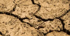 Kekeringan hingga krisis air melanda beberapa wilayah Kota Depok. (Sumber: Pixabay/daeron)