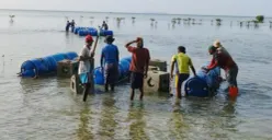 Sejumlah nelayan saat melakukan pelestarian terumbu karang di Kepulauan Seribu. (Sumber: Pemprov DKI Jakarta)