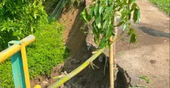 Ruas jalan yang longsor dikasih tanda dengan pohon kayu oleh warga di Lebak. (Sumber: Poskota/Samsul Fatoni)