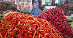 Pedagang cabai di Pasar Kebayoran Lama, Grogol Utara, Jakarta Selatan, Minggu, 11 Oktober 2026. (Sumber: Poskota/Angga Pahlevi)