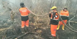 Penanganan karhutla di wilayah Sumatra, Kalimantan, dan Sulawesi oleh Baznas. (Sumber: Istimewa)