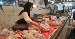 Aktivitas jual beli di pasar tradisional Ciseeng, Kabupaten Bogor, Jawa Barat, Selasa, 1 September 2026. (Sumber: Poskota/Ali Mansur)